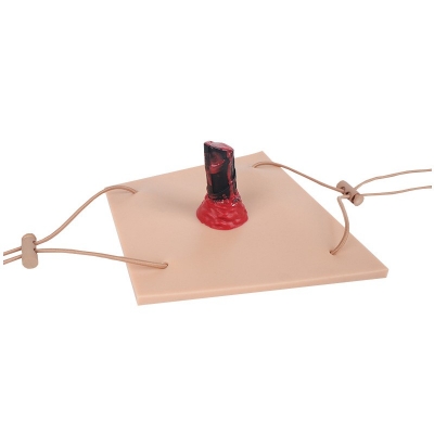 肢體穿透傷模型